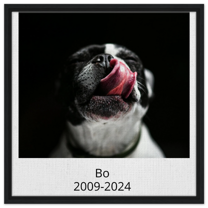 aceb988a-734a-4696-954b-01d3385f5043