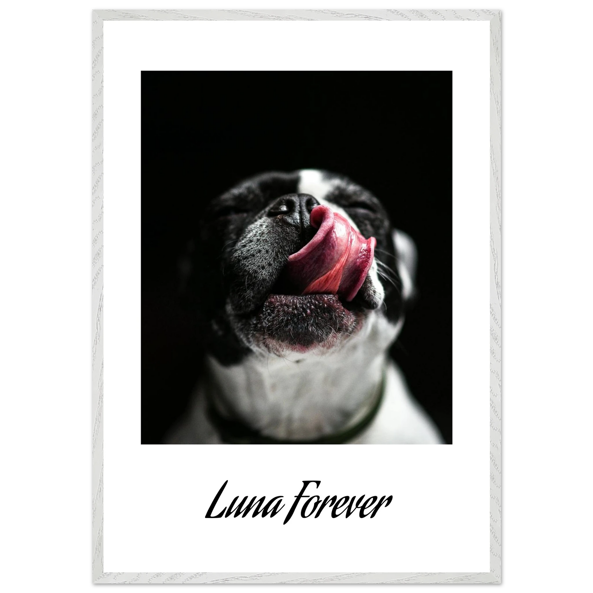 b25c0ab6-7a3e-4e2a-b259-6ff7513a201c