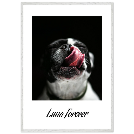 b25c0ab6-7a3e-4e2a-b259-6ff7513a201c