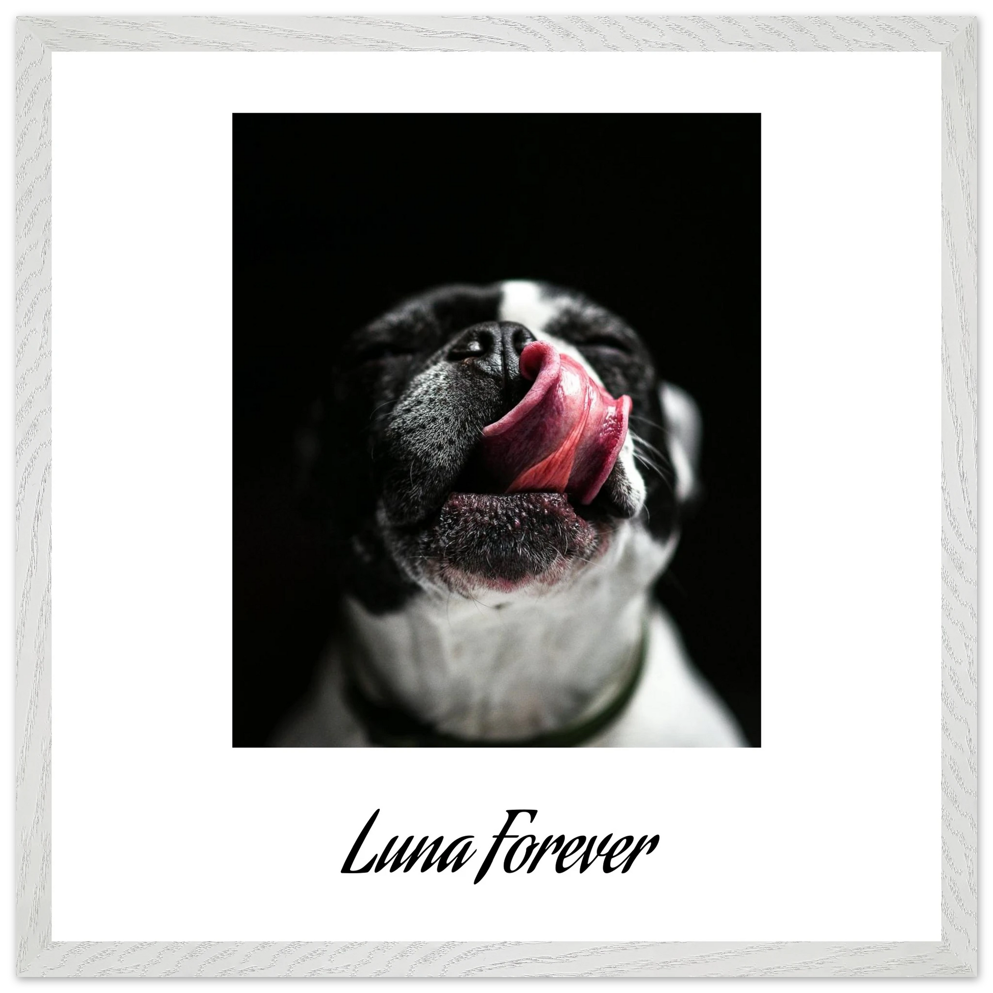 b26612ce-80a3-4932-ac1b-963eda9fc1fa