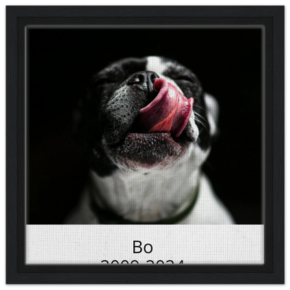 b6ab46b9-1316-4b57-9cb1-fee67485dafc