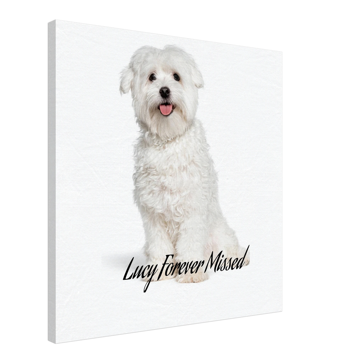 baa992d4-1bab-42e4-9e36-756a46e72558