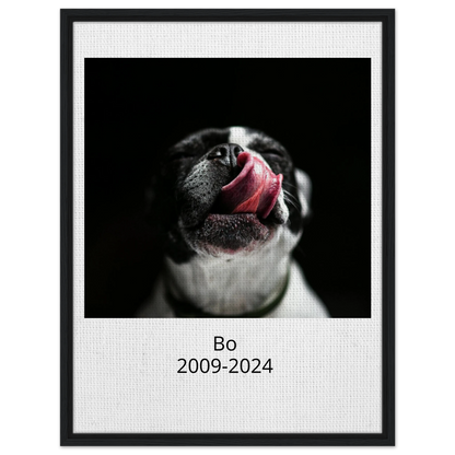 bcb943ee-30d6-4036-bafd-5e8544d86916