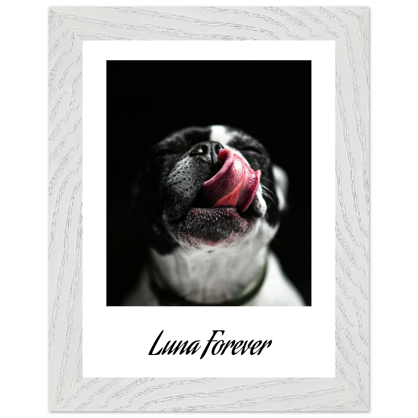 bd4b538e-1f38-44cc-83cd-47a84b49e015