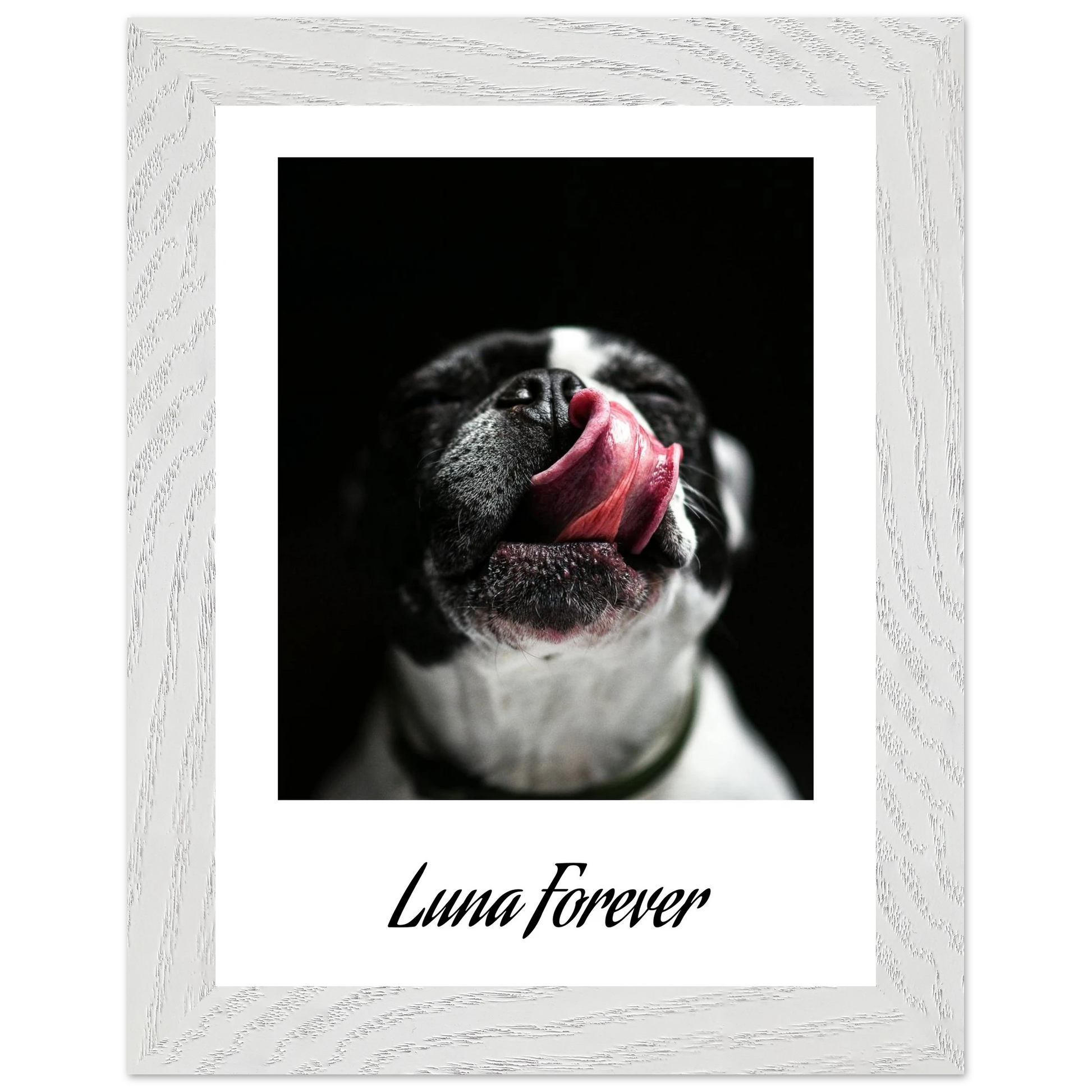 bd4b538e-1f38-44cc-83cd-47a84b49e015