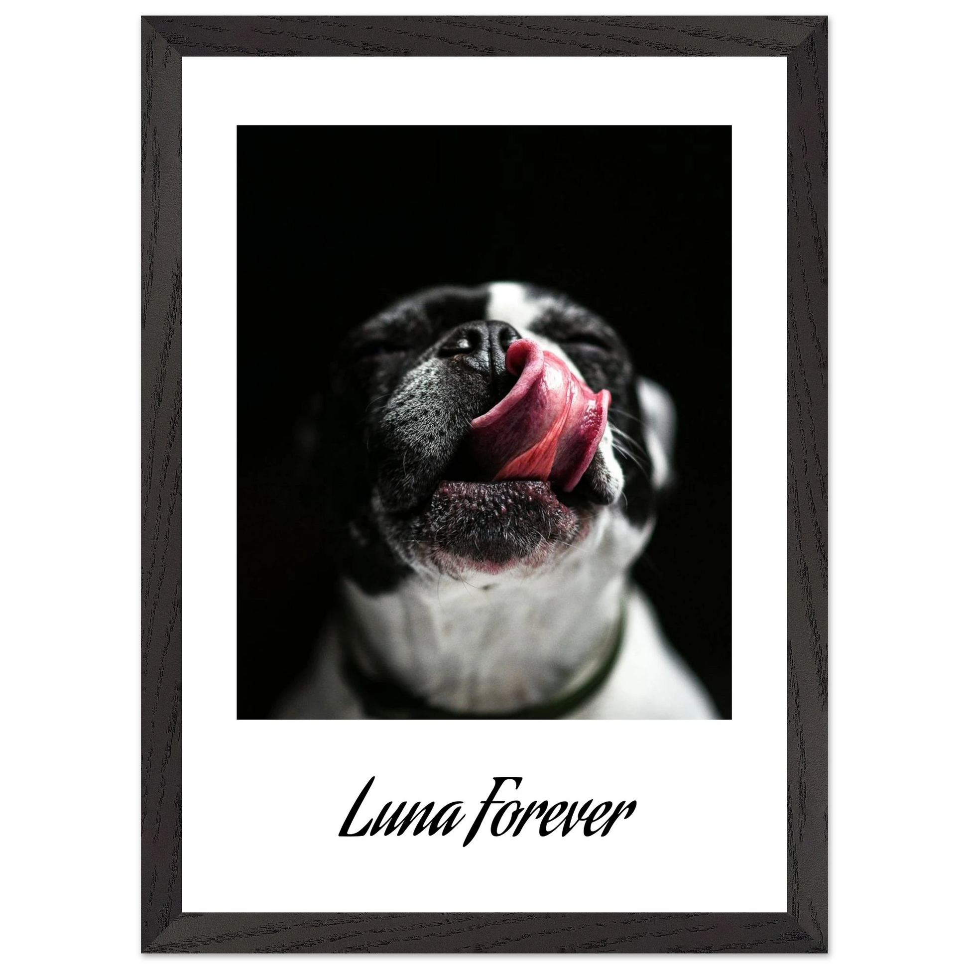 c3150658-142b-4967-98b8-380f8f003474