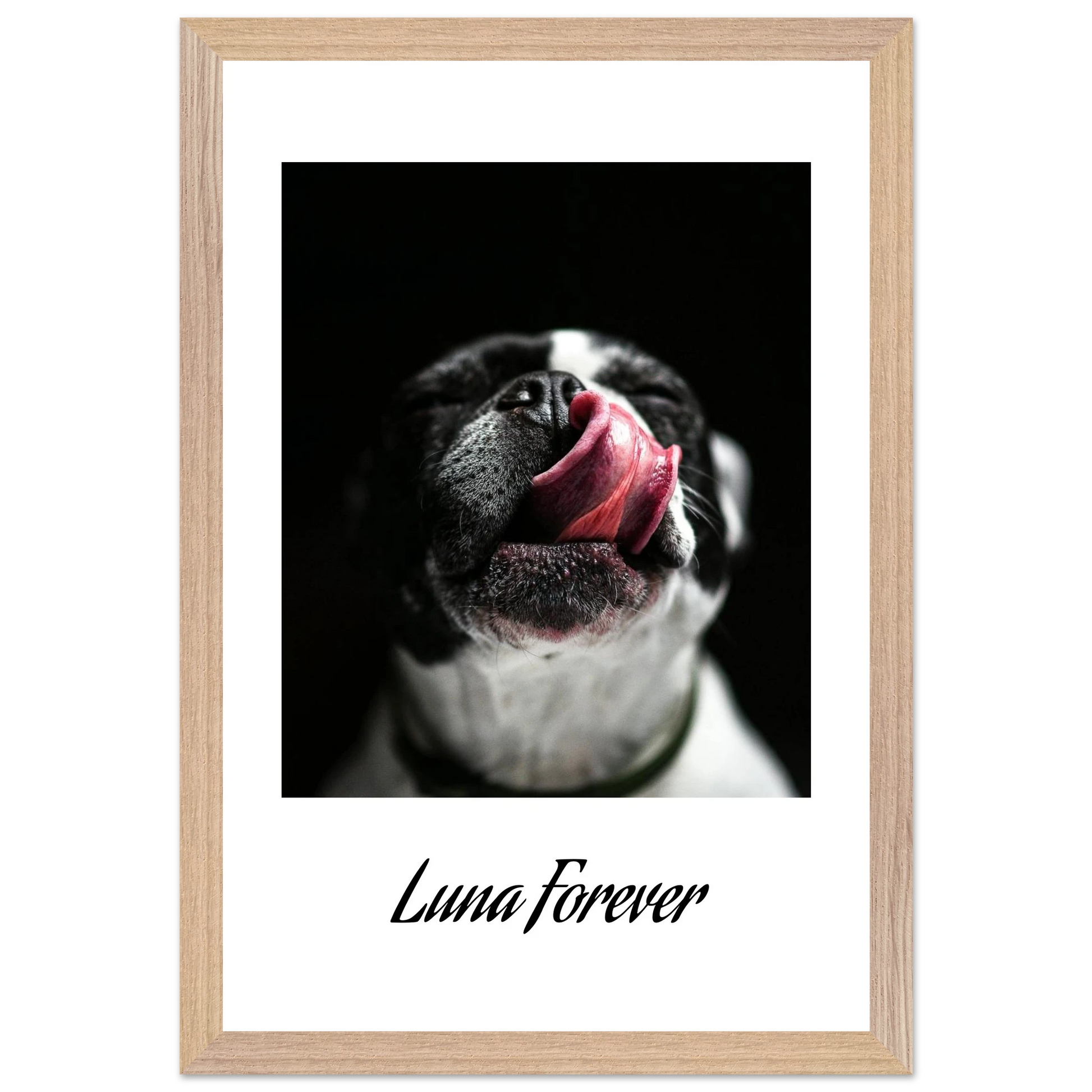 c654b17d-2ff4-47be-abf1-7fac8b35cbed