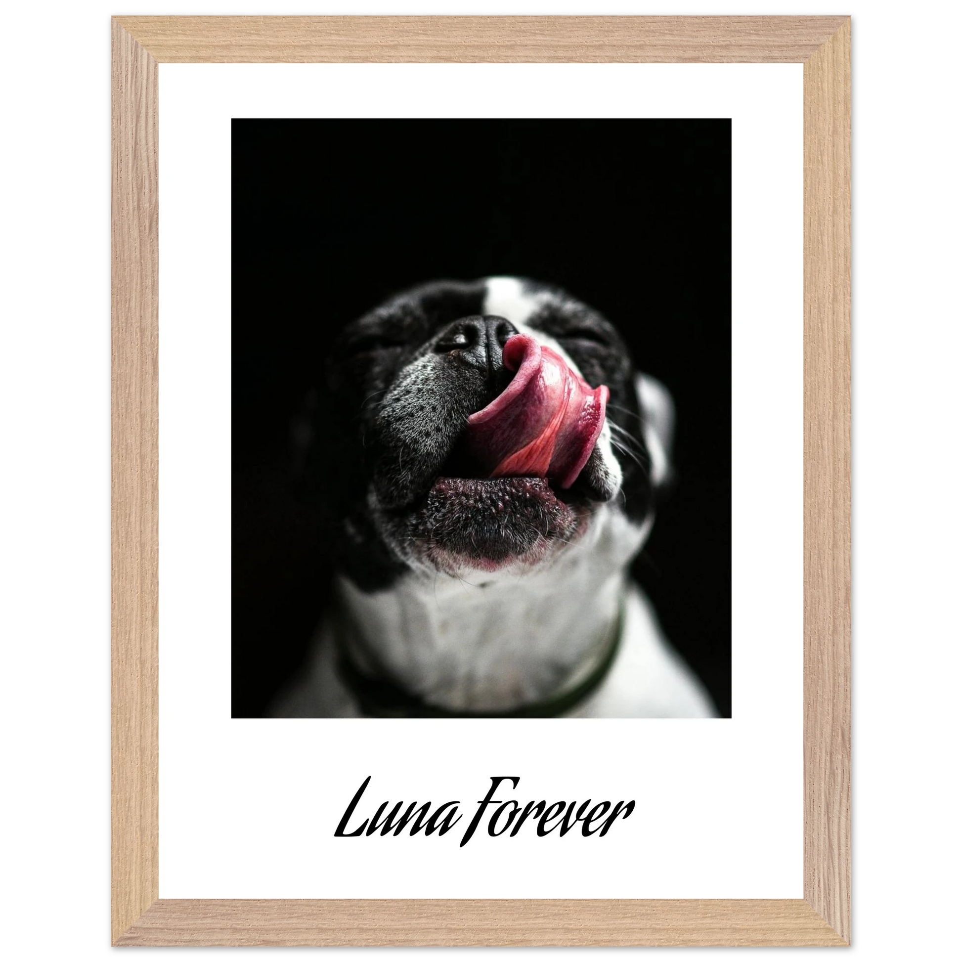 c6a0a283-c04b-4ea8-ada7-9753c9943d1b