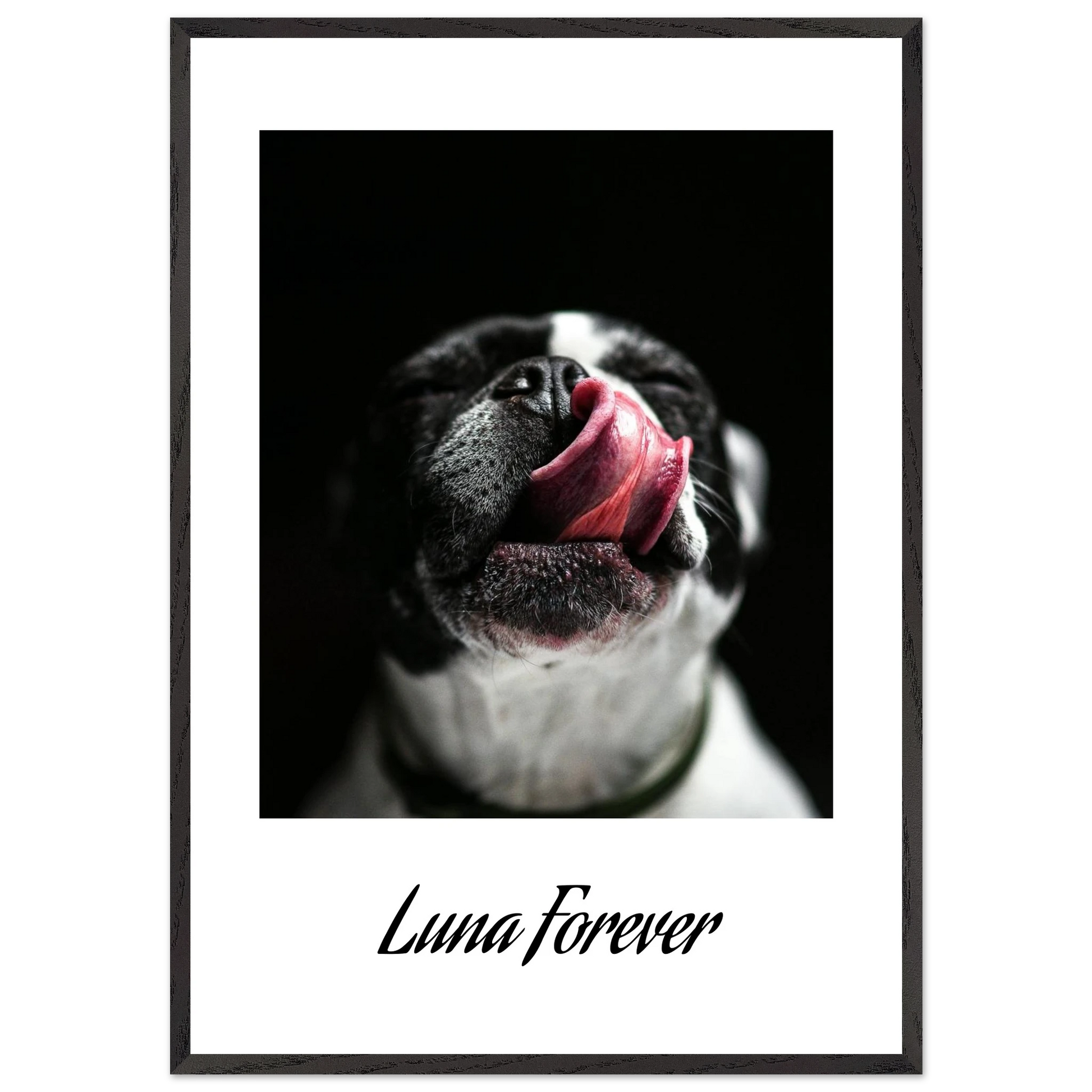 ca3930db-8a30-4437-a34c-a3e10f236eb3