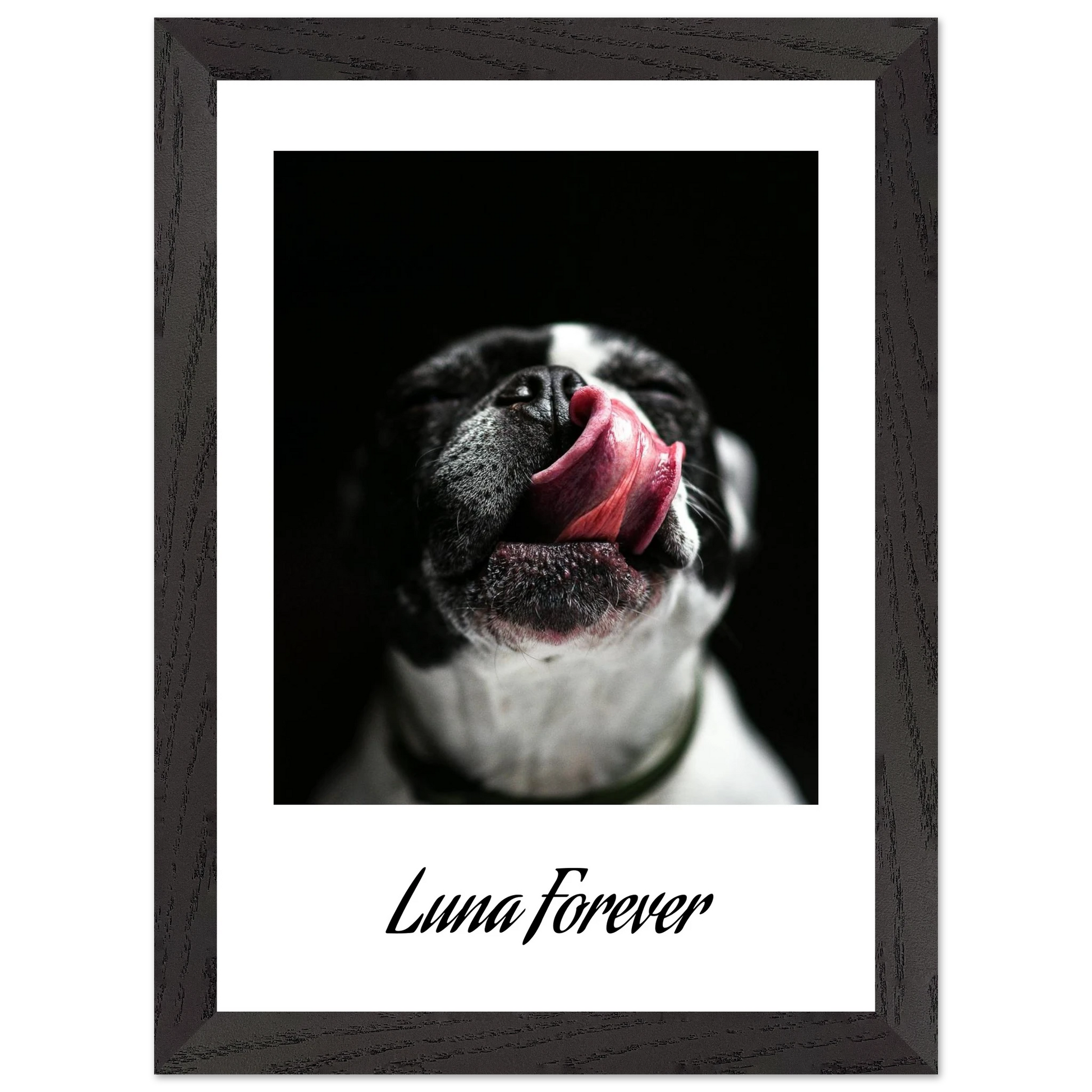 d5b682c1-bb48-4a32-903d-153d51427453