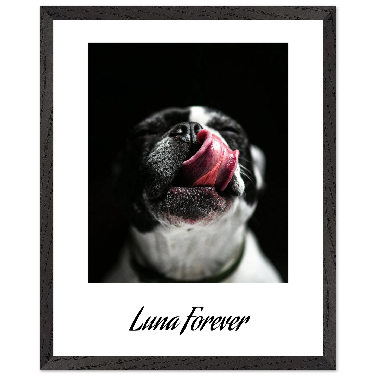 d631b020-693e-48c2-b1e8-5bdc566bf6fb