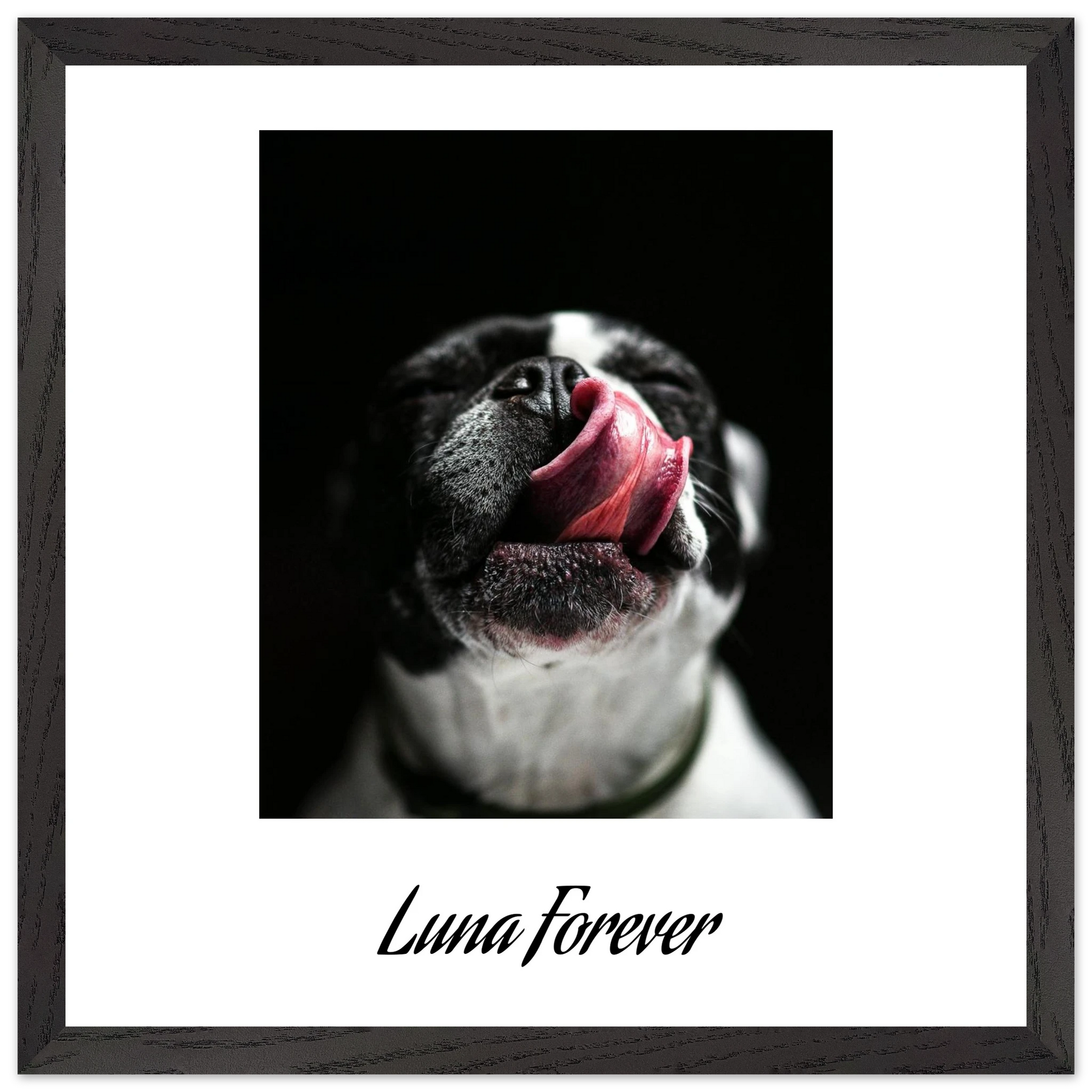 daf20487-17e3-46f6-ada2-4754a96ad87c