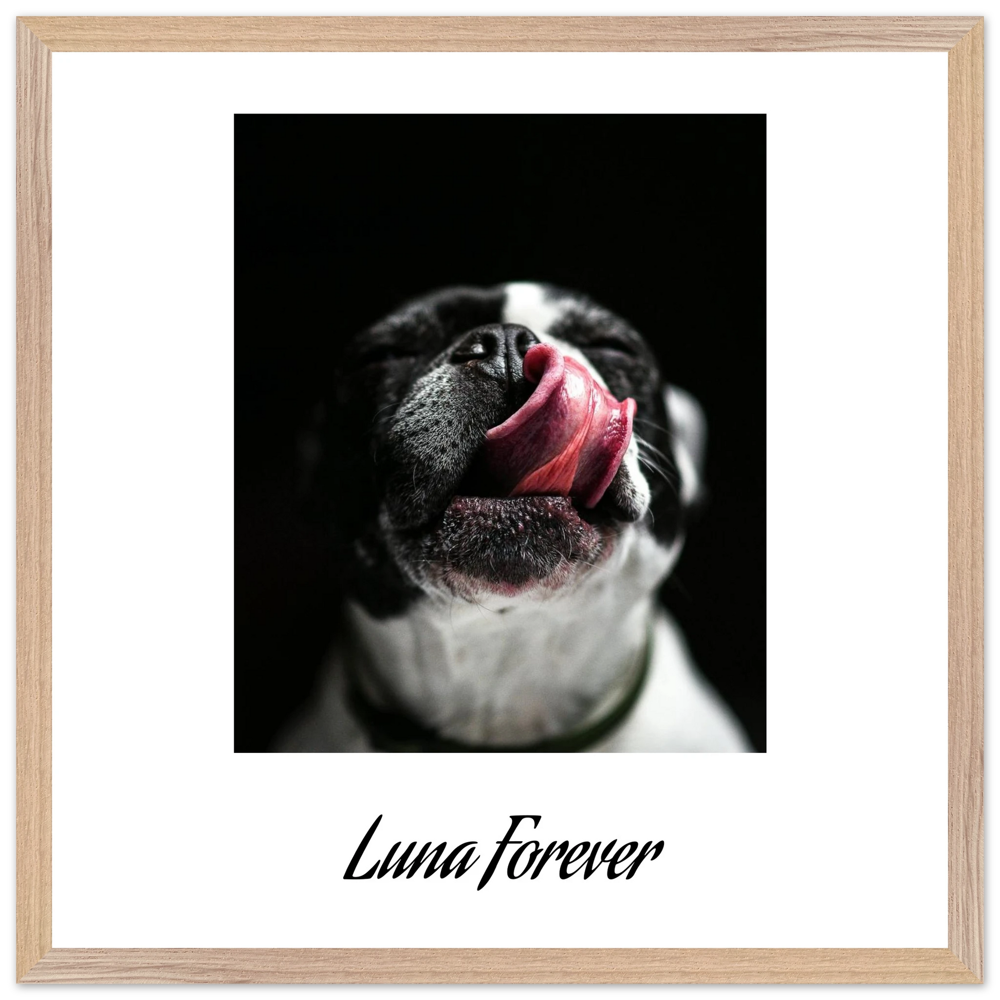 e27ab984-e768-4bea-9e0c-57e3571f97f7