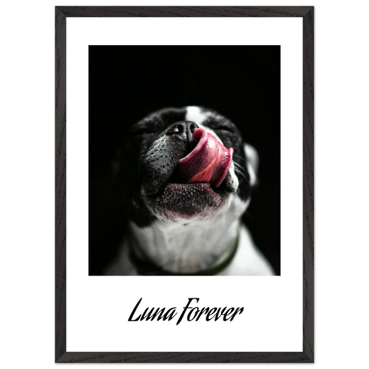 ef66b367-8efe-48e1-bc8f-7b2f73b3d411