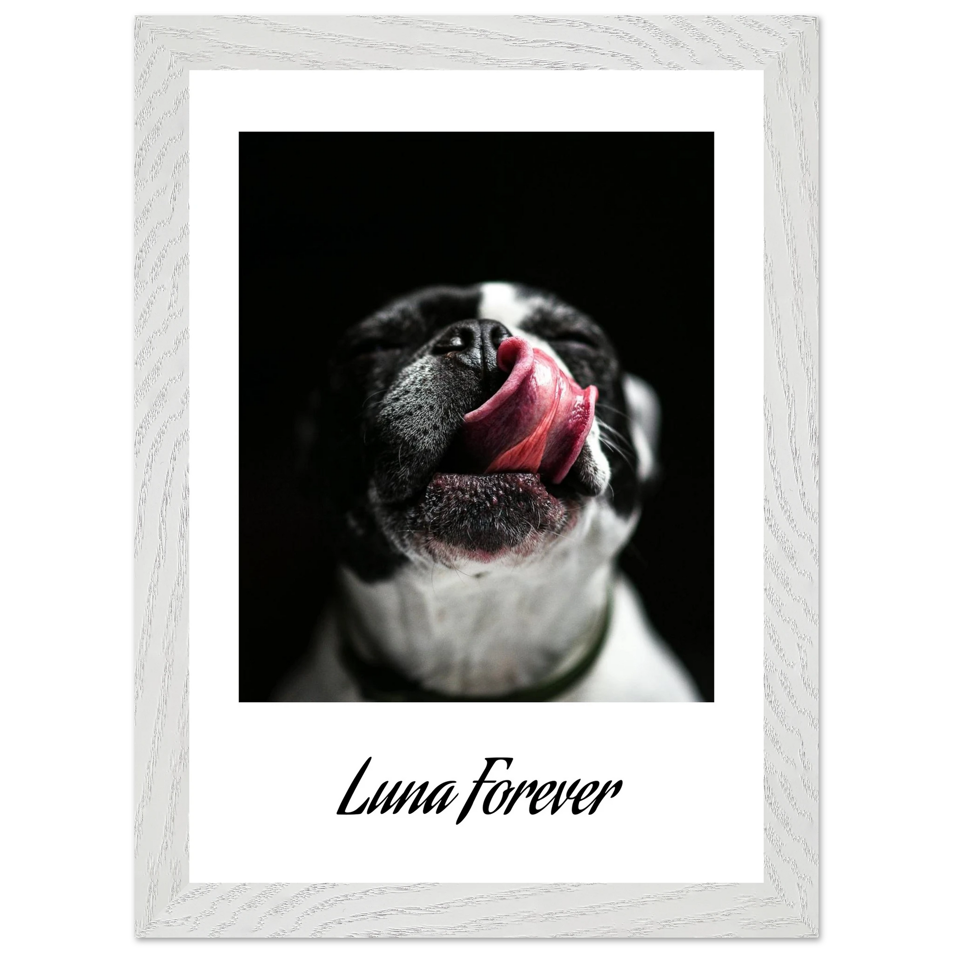 f78849c5-4eb6-4b98-960e-6961d35fd26e