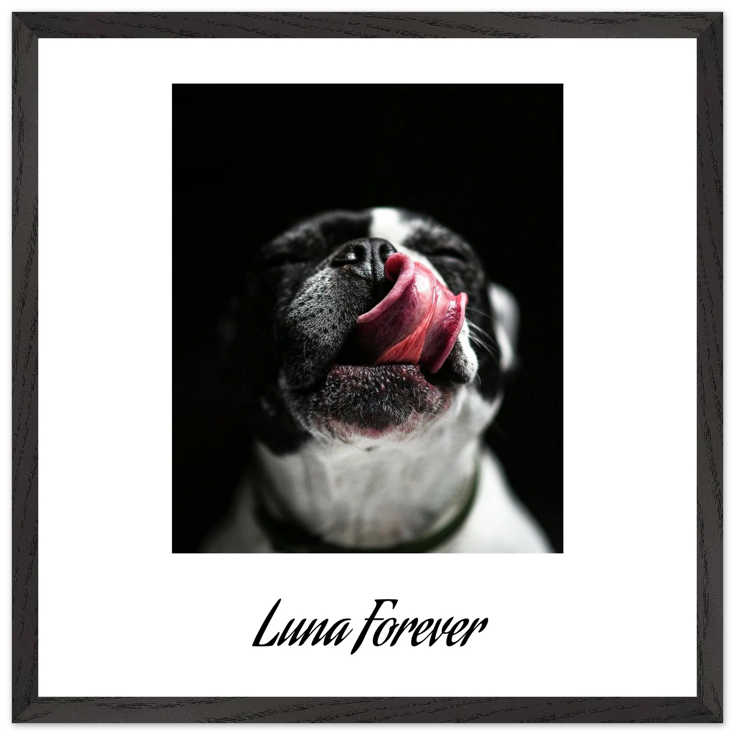 fbeee573-3de9-4ed8-94d6-bec245b816b8