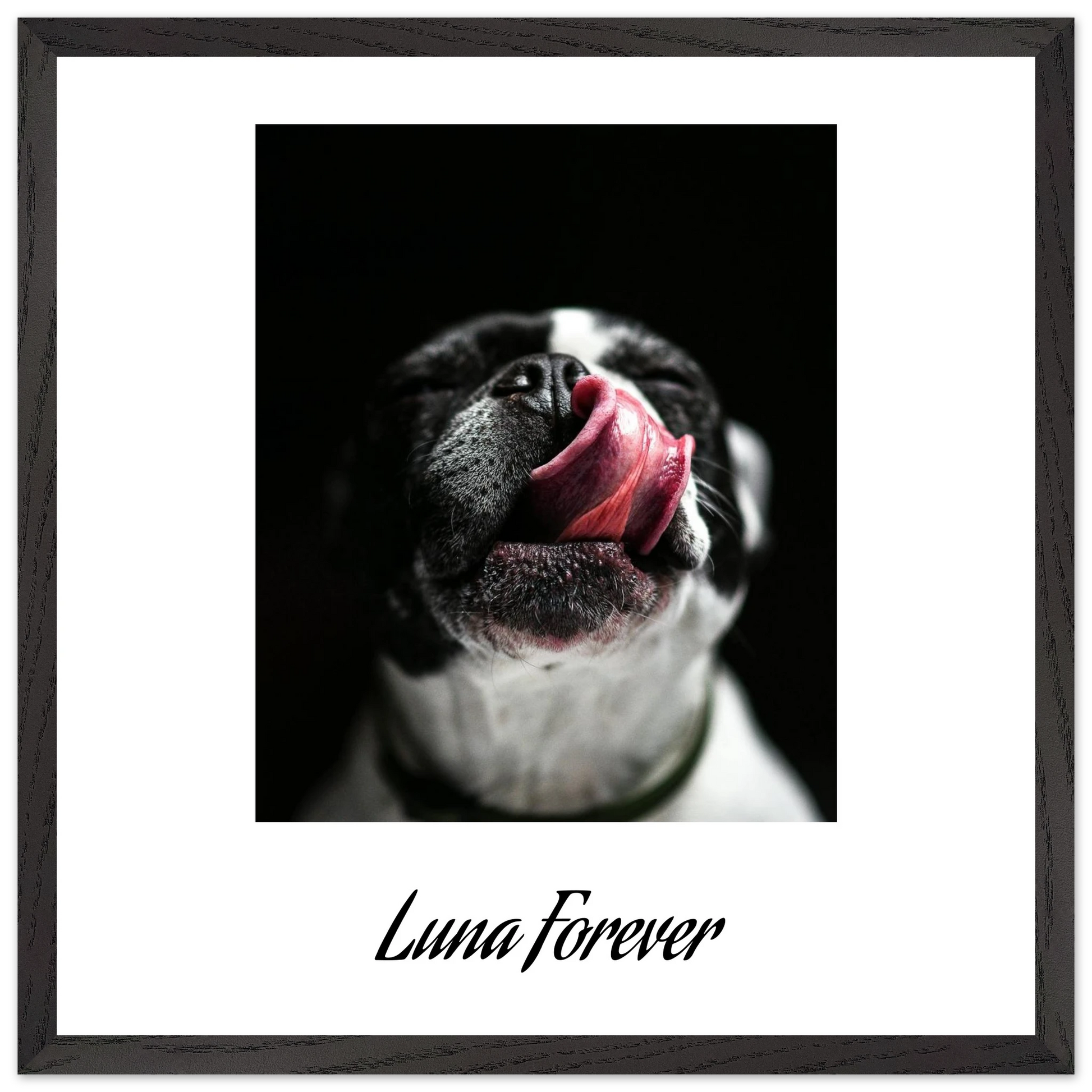 fbeee573-3de9-4ed8-94d6-bec245b816b8