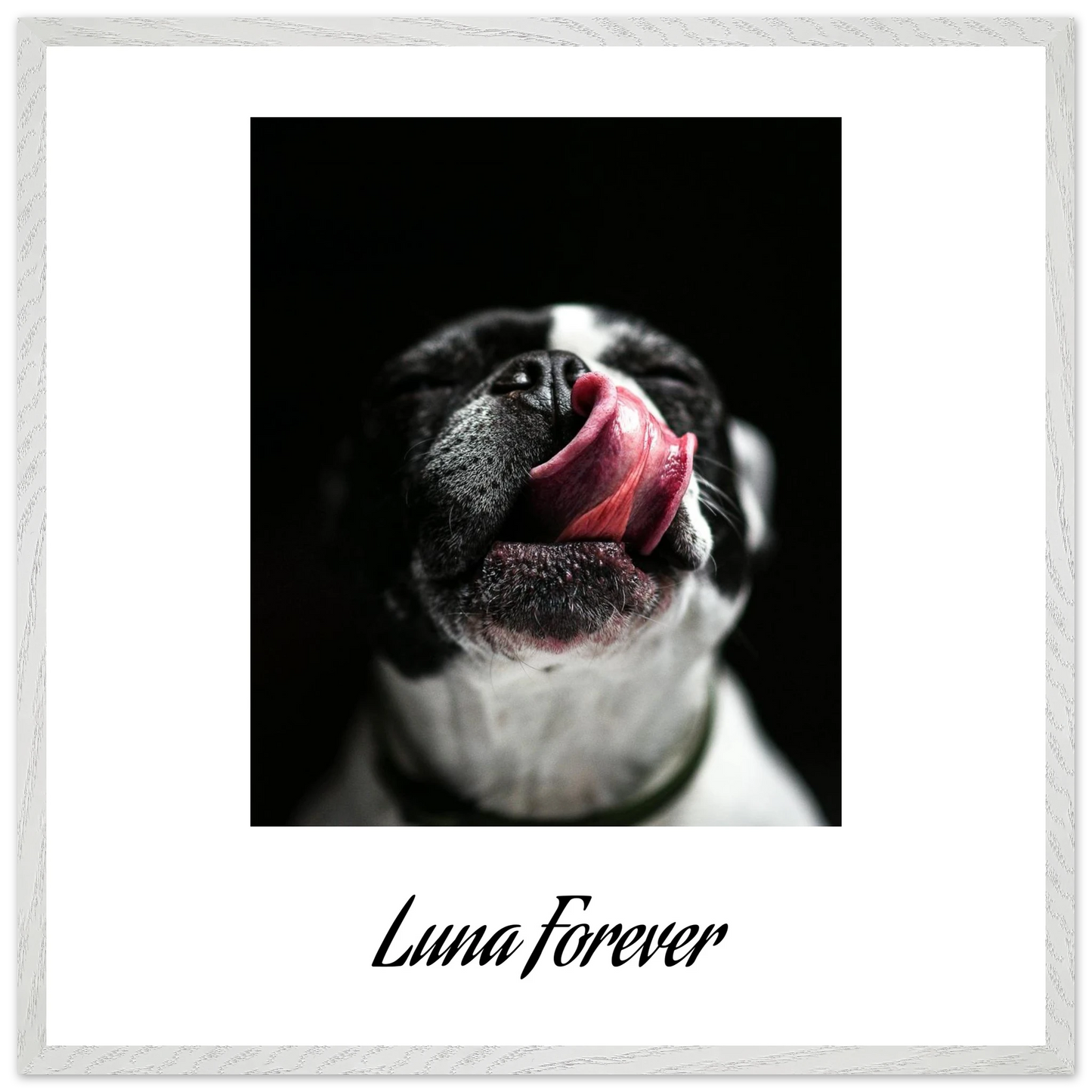 fc05ec06-5507-452f-8fe4-e7d7ae31a651