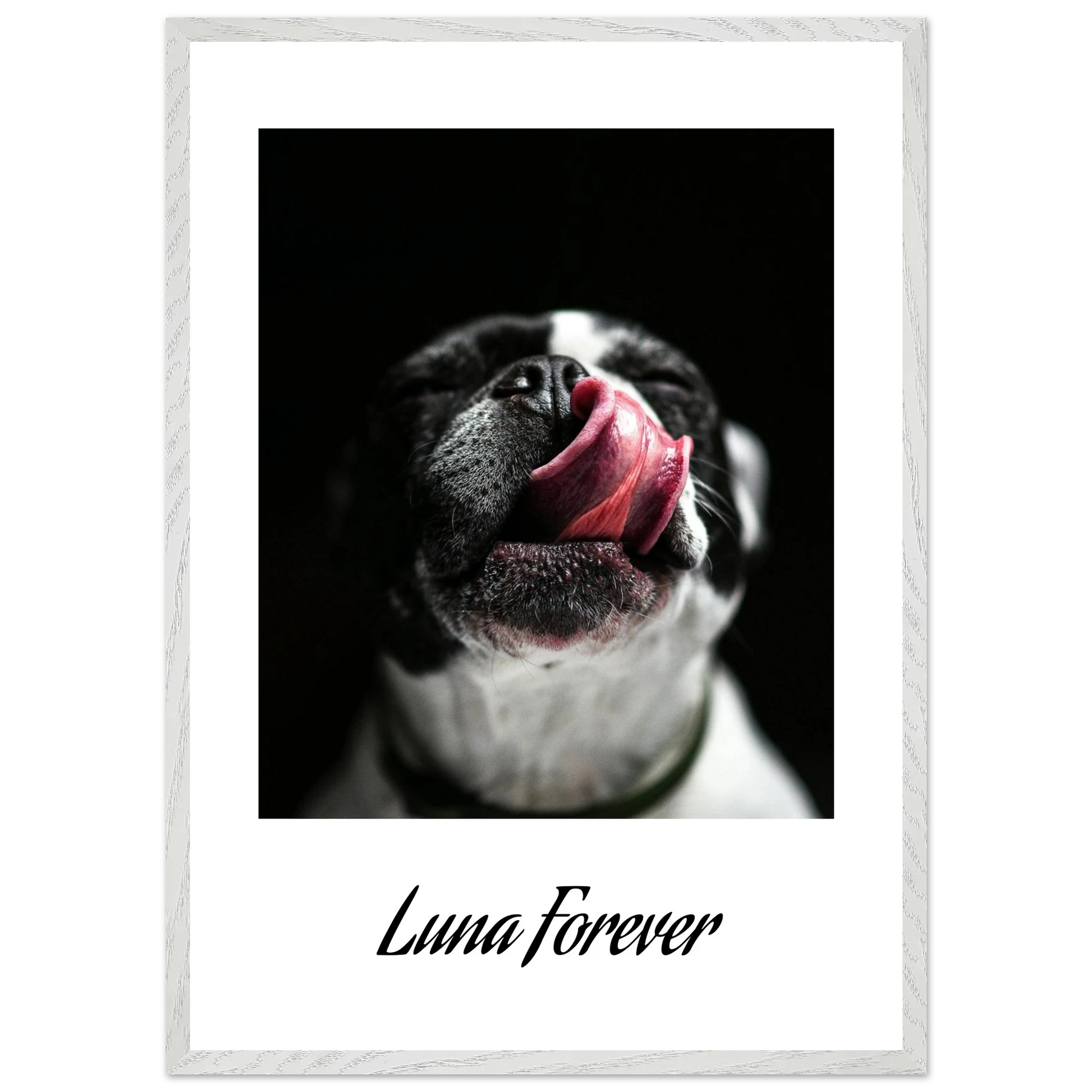 fc1a2523-6123-40e3-a256-f38e075337c7