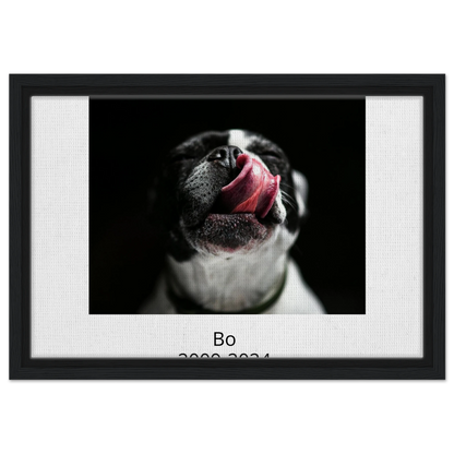 fc613376-acfa-4941-b21c-2fdf9b483fab