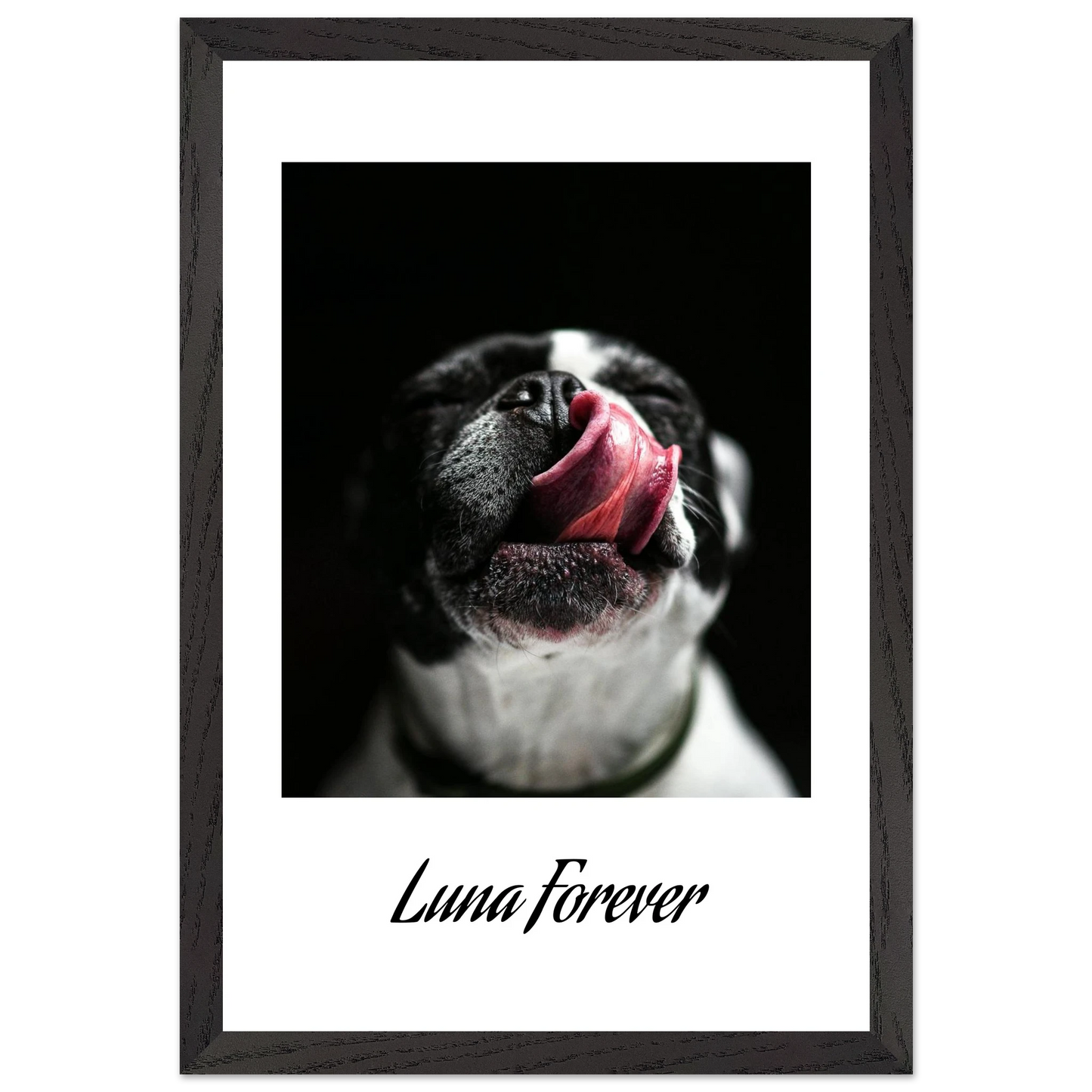 fdd6feea-7030-4ba1-a560-2858a142287e