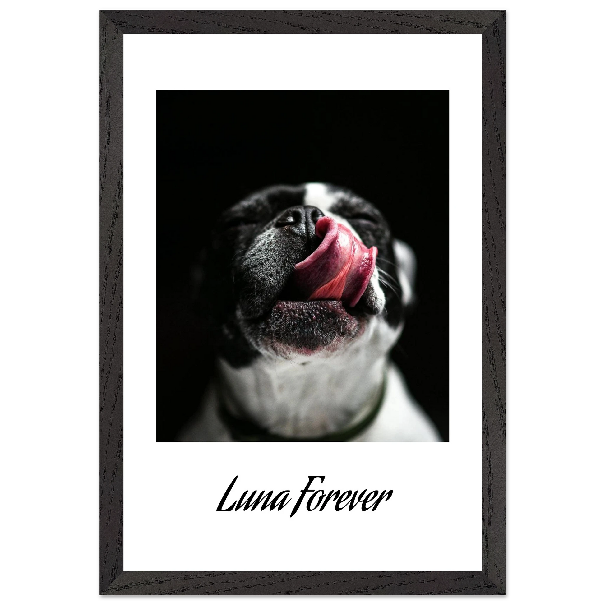 fdd6feea-7030-4ba1-a560-2858a142287e